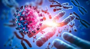 Stem Cell Therapy in Turkey: Why International Patients Choose Istanbul