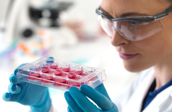 Kök Hücre ve Rejeneratif Uygulamalar